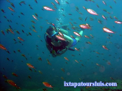 Diving in Zihuatanejo