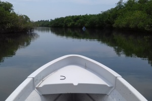 Barra de potosi lagoon